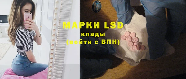 дживик Верхний Тагил