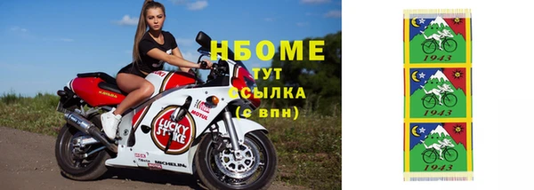 дживик Верхний Тагил