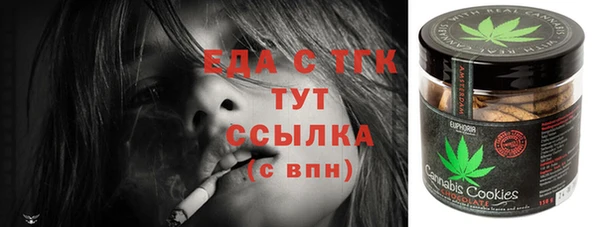 дживик Верхний Тагил
