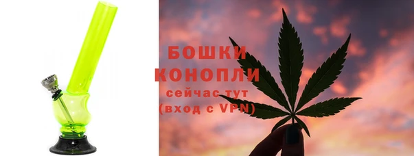 дживик Верхний Тагил