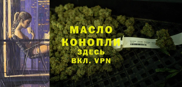 дживик Верхний Тагил