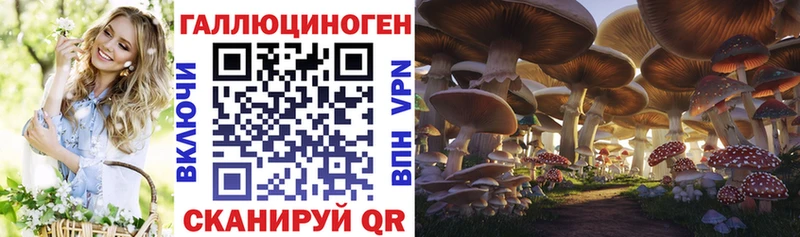 Галлюциногенные грибы прущие грибы  Волхов 